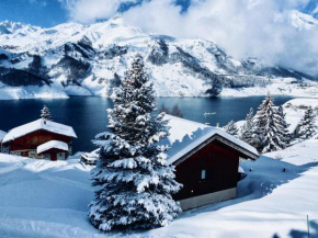 CHALET LES ASPHODELES